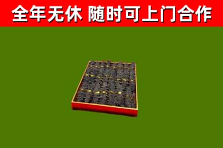 彭泽回收海参